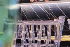 IMG-20240419-WA0007